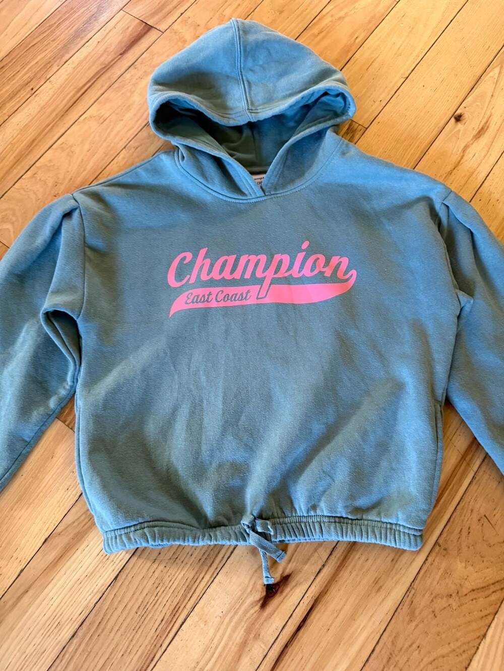 Champion East Coast Hoodie Size M 10 Blue Pink Graphic Pullover